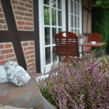 Zum Heidewanderer Mit Thermeplus Гостевой дом 4*