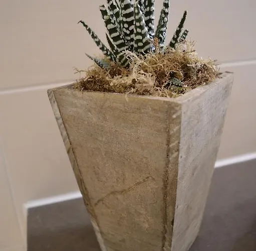 Zum Heidewanderer Mit Thermeplus Guest house 4*